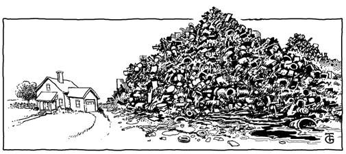 [picture of a house with a HUGE garbage pile]