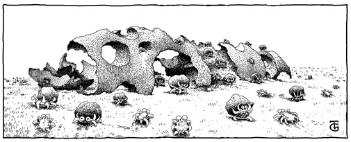 [critters eating away a turd]