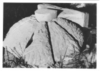 David Lyle 
Collection