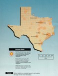 tx nuclear small.jpg