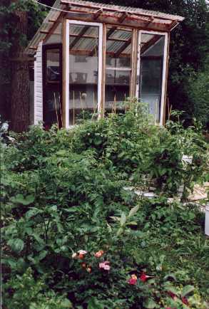 Our greenhouse